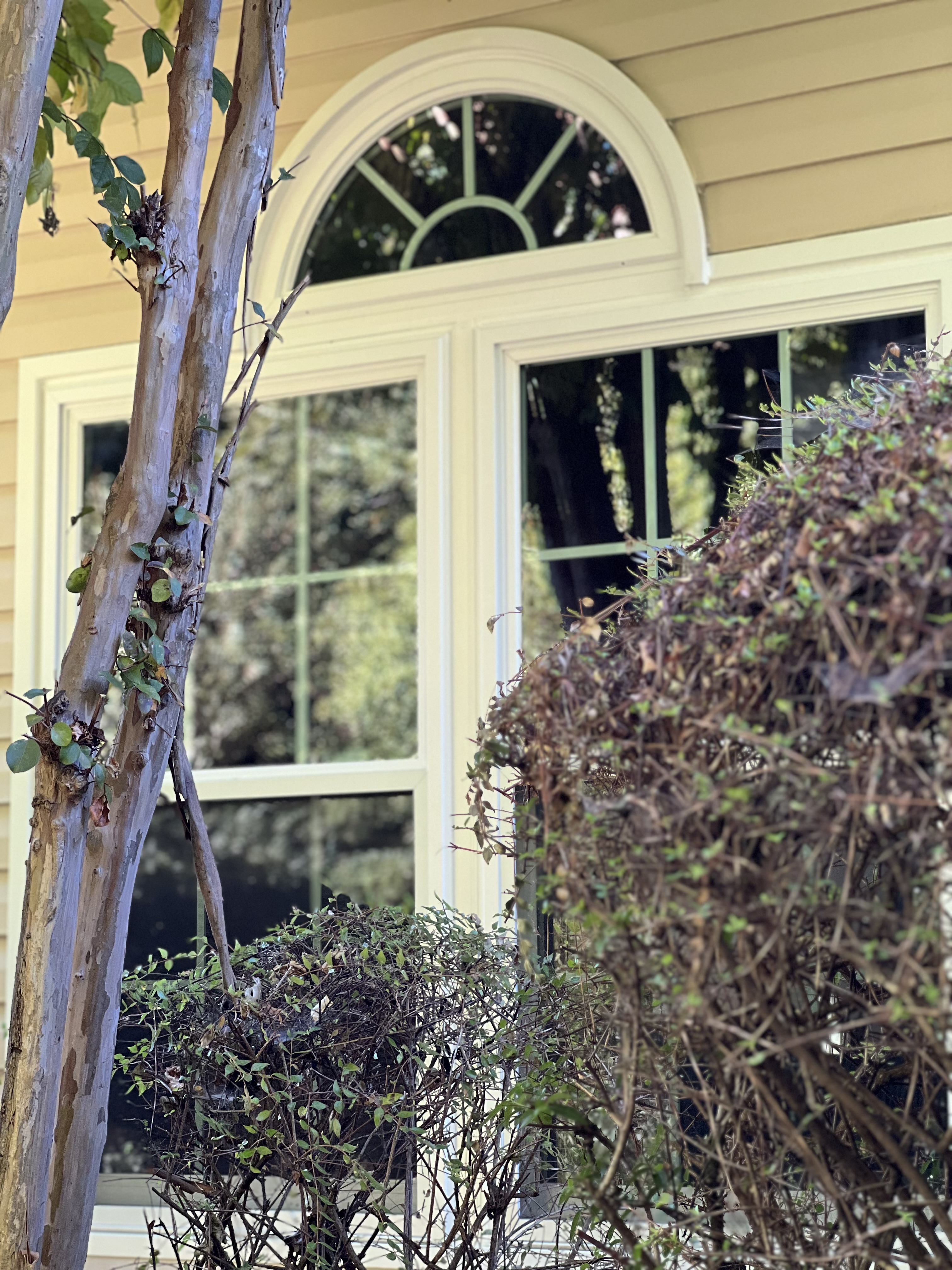 Professional window cleaning in Marietta, Georgia